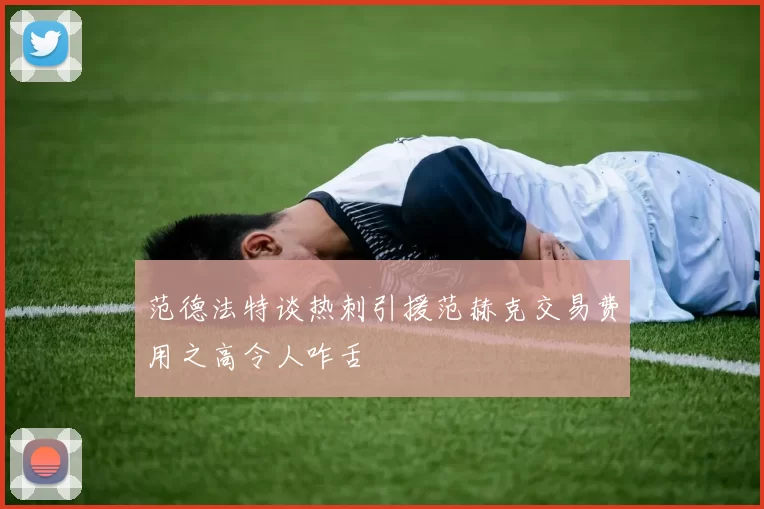 范德法特谈热刺引援范赫克交易费用之高令人咋舌
